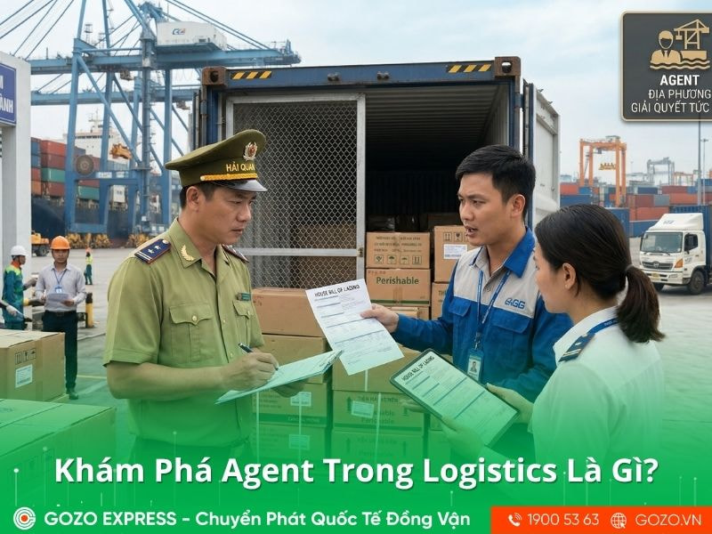 agent-logistics-la-gi