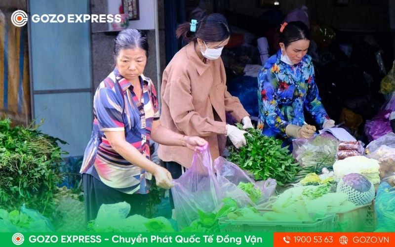 cho-dau-moi-dau-giay