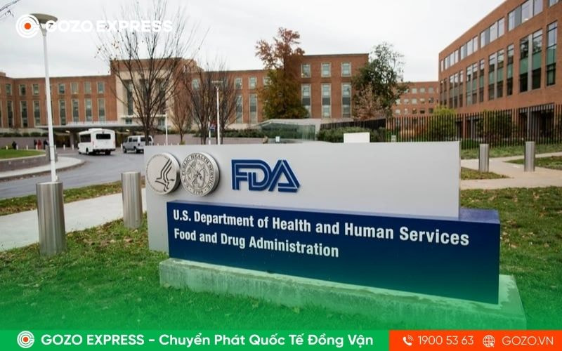 giay-chung-nhan-fda-la-gi