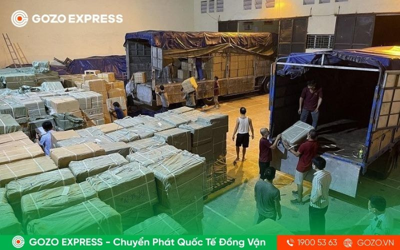 mua-gi-o-viet-nam-dem-qua-my