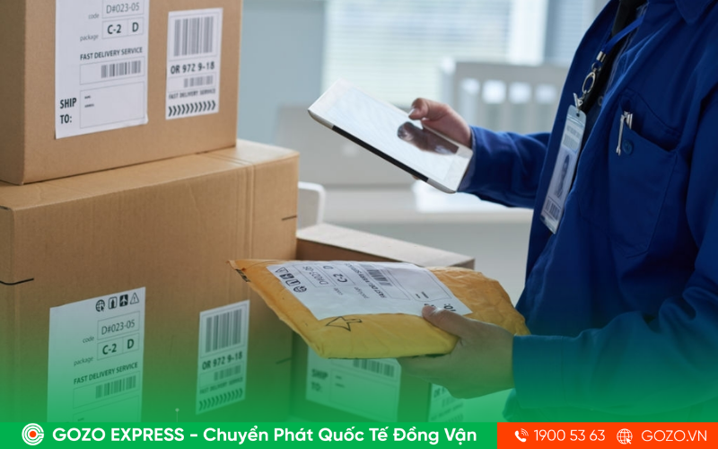Dịch Vụ Gửi Hàng Doanh Nghiệp Đi Nước Ngoài Uy Tín Tại GOZO Express