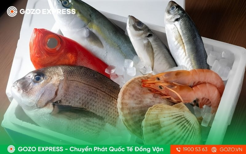van-chuyen-hang-dong-lanh-quoc-te
