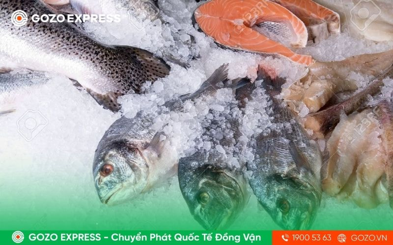 van-chuyen-hang-dong-lanh-quoc-te