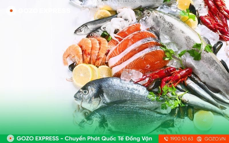 van-chuyen-hang-dong-lanh-quoc-te