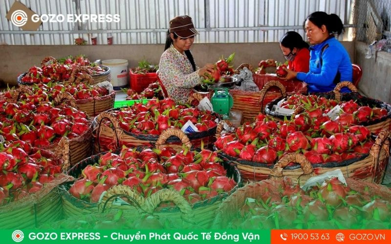 xuat-khau-nong-san-sang-eu