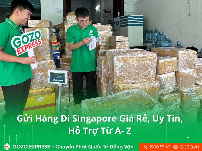 Gửi Hàng Đi Singapore Giá Rẻ, Uy Tín, Hỗ Trợ Từ A- Z | GOZO Express