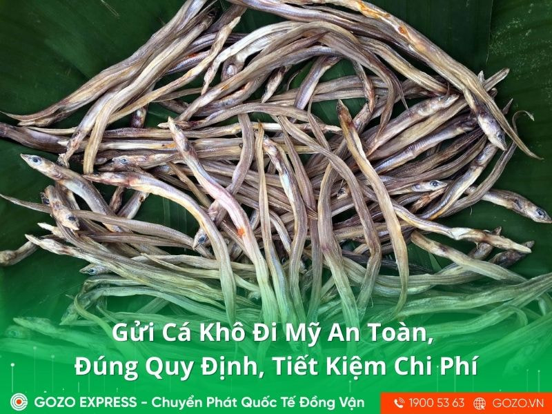 Gửi Cá Khô Đi Mỹ An Toàn, Đúng Quy Định, Tiết Kiệm Chi Phí