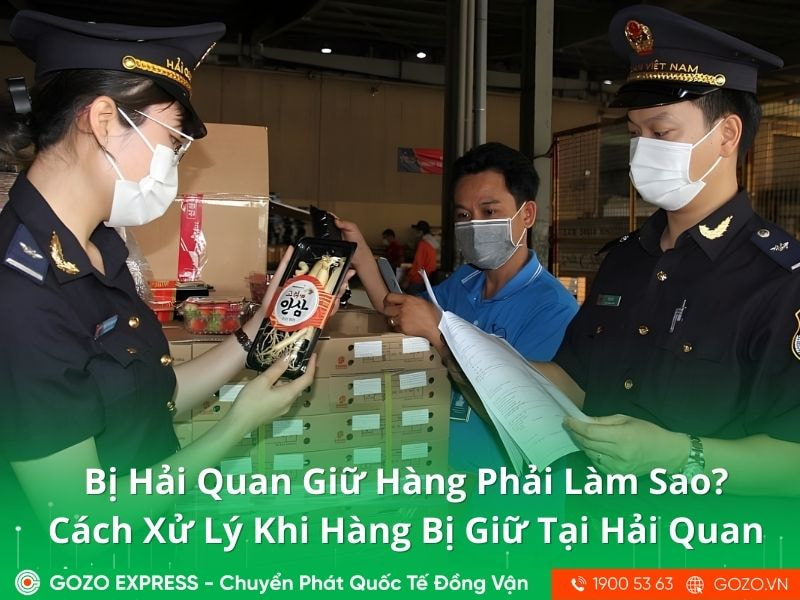 Bị Hải Quan Giữ Hàng Phải Làm Sao? Cách Xử Lý Khi Hàng Bị Giữ Tại Hải Quan