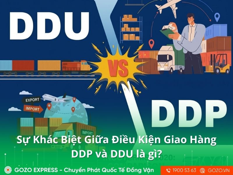 Sự Khác Biệt Giữa Điều Kiện Giao Hàng DDP và DDU là gì?