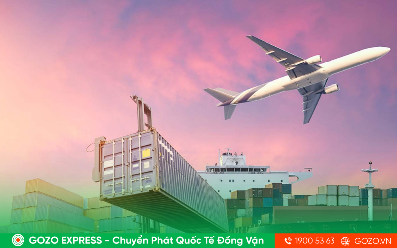 GOZO Logistics - Giải Pháp Kho Bãi 4.0 & Chuỗi Cung Ứng B2B Toàn Diện