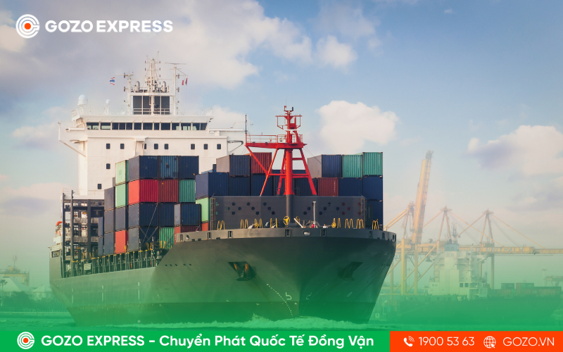 GOZO EXPRESS - Chuyển Phát Quốc Tế Đồng Vận